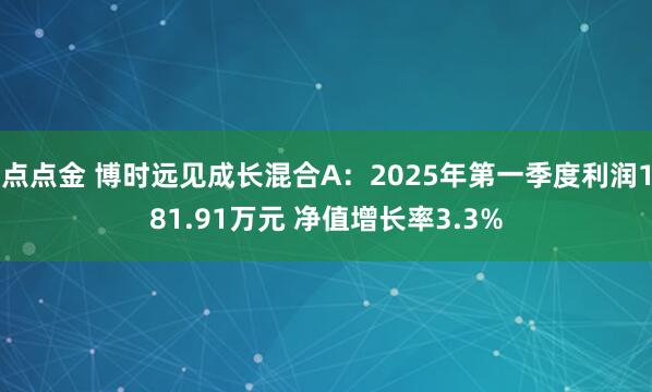 点点金 博时远见成长混合A：2025年第一季度利润181.91万元 净值增长率3.3%