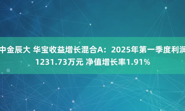 中金辰大 华宝收益增长混合A：2025年第一季度利润1231.73万元 净值增长率1.91%